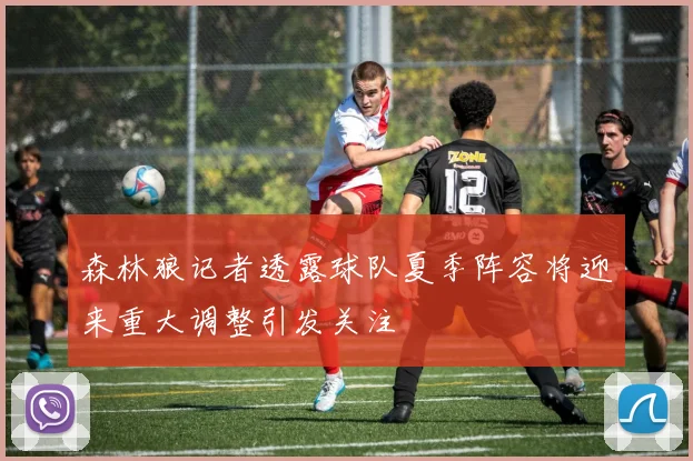 森林狼记者透露球队夏季阵容将迎来重大调整引发关注