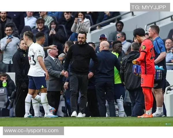 英媒透露本坦库尔将续约热刺同时球队有意买断帕利尼亚 英媒透露本坦库尔将续约热刺同时球队有意买断帕利尼亚