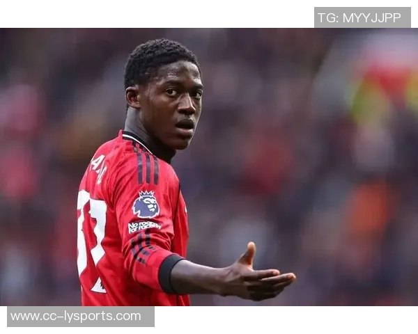 谢林汉姆认为梅努适合利兹联阿莫林的看法并不影响他的潜力