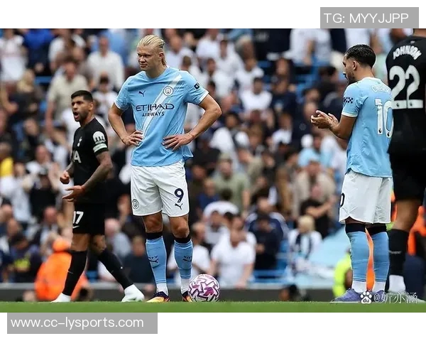 帕利尼亚谈热刺新机遇期待在英超赛场尽情享受比赛乐趣 帕利尼亚谈热刺新机遇期待在英超赛场尽情享受比赛乐趣